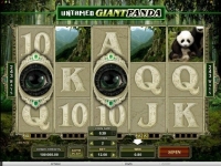 Untamed Giant Panda